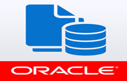 Oracle数据库管理工具有哪些?-北京云顶线上平台,云顶（中国）公司