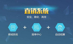 手机直销系统云顶线上平台,云顶（中国）价格-北京软件外包公司