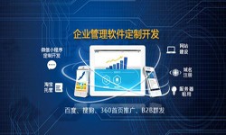 Erp云顶线上平台,云顶（中国）的发展现状-北京云顶线上平台,云顶（中国）公司锐智互动