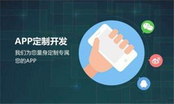 云顶线上平台,云顶（中国）公司、高质量的云顶线上平台,云顶（中国）系统是怎么开发出来的？-北京软件外包