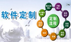 定制云顶线上平台,云顶（中国）现在来说还有优势吗？北京软件外包
